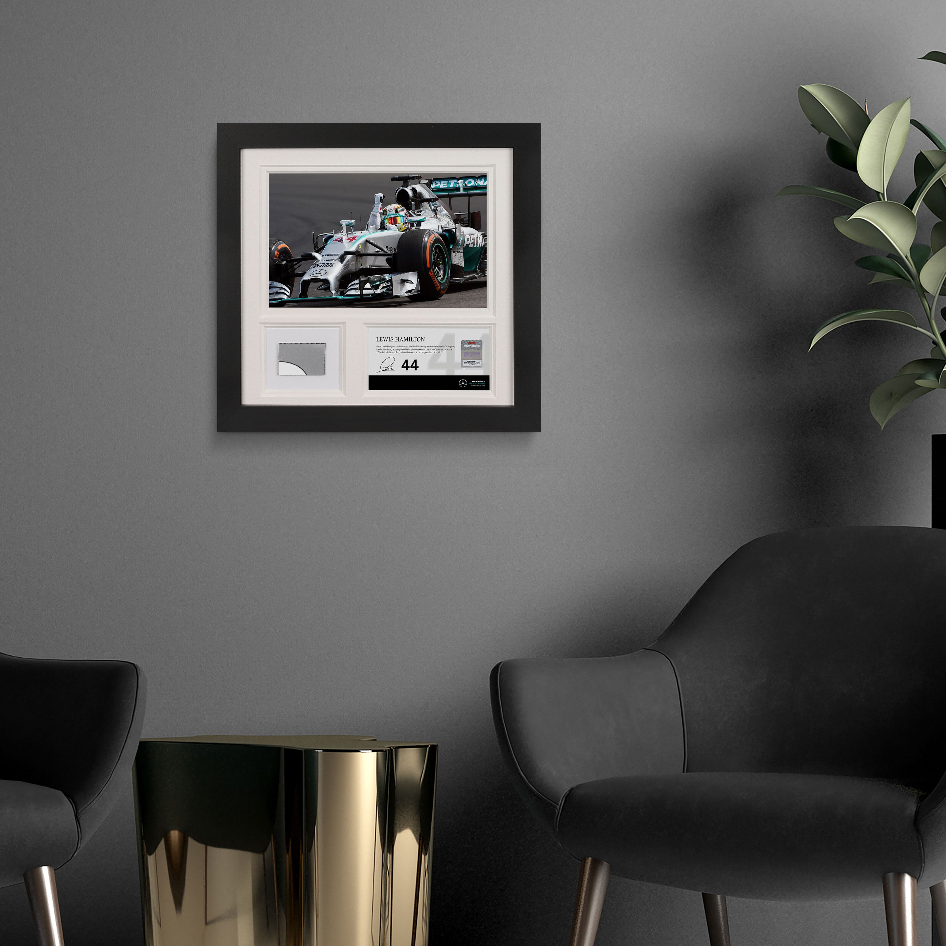 Lewis Hamilton 2014 Bodywork & Photo - British GP