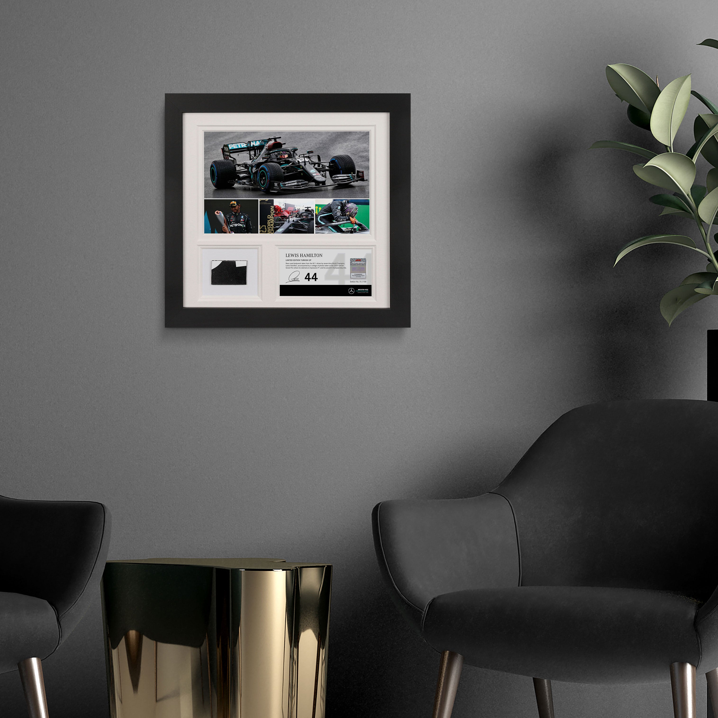 Limited-Edition Lewis Hamilton 2020 Bodywork & Photo - Turkish GP