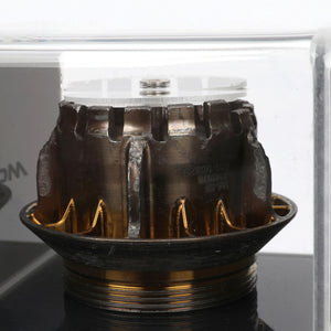 McLaren F1® Team 2025 Gold Wheel Nut in Display Case