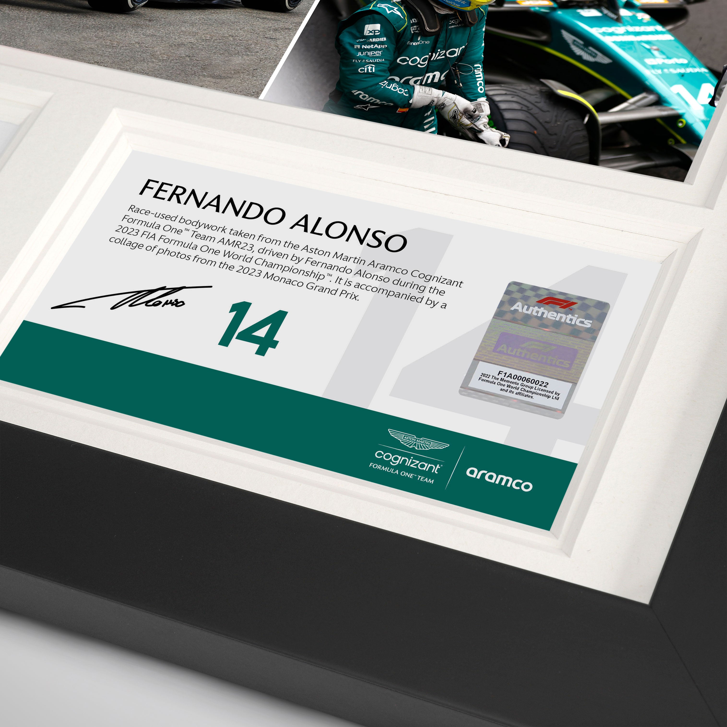 Fernando Alonso 2023 Bodywork & Photo – Monaco GP