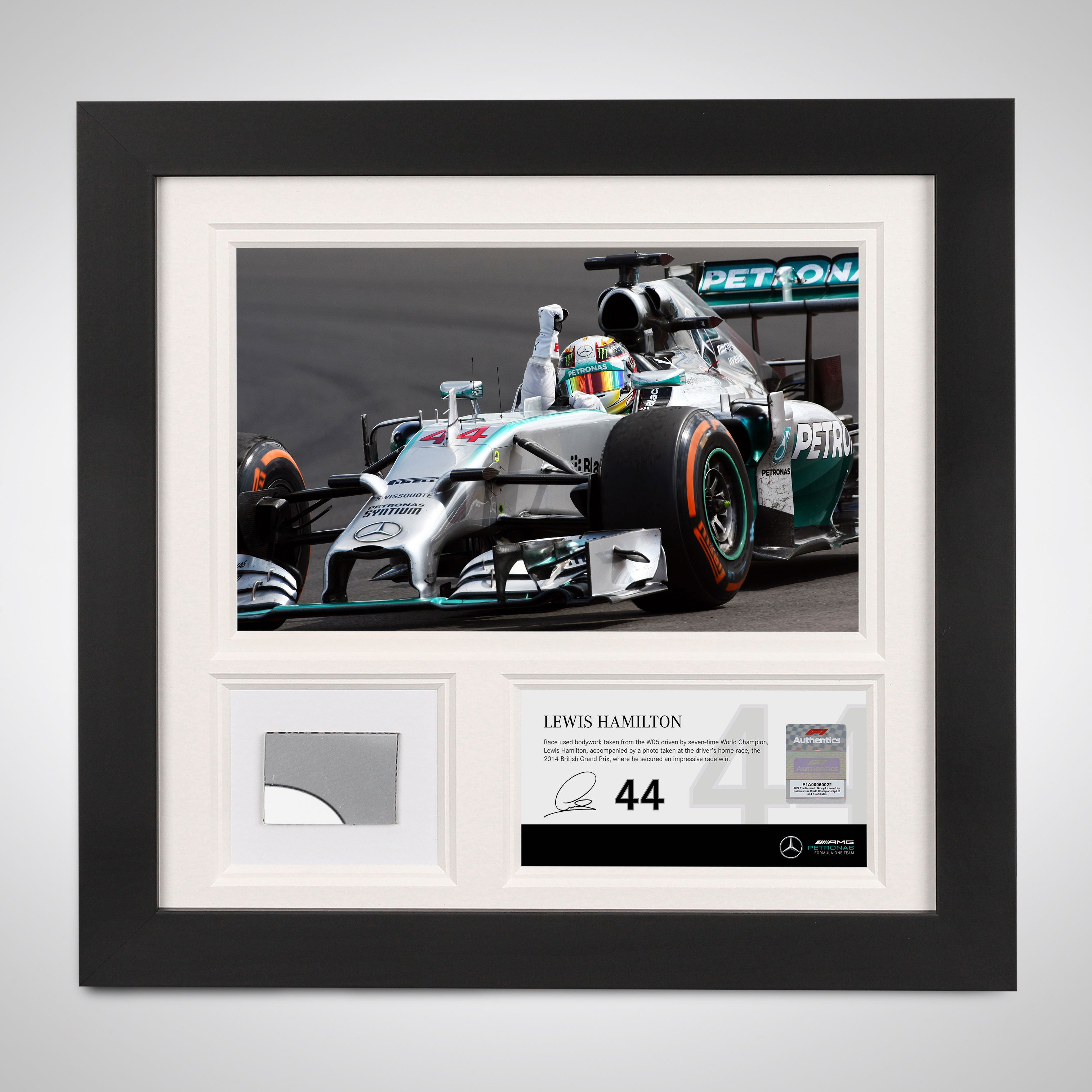 Lewis Hamilton 2014 Bodywork & Photo - British GP