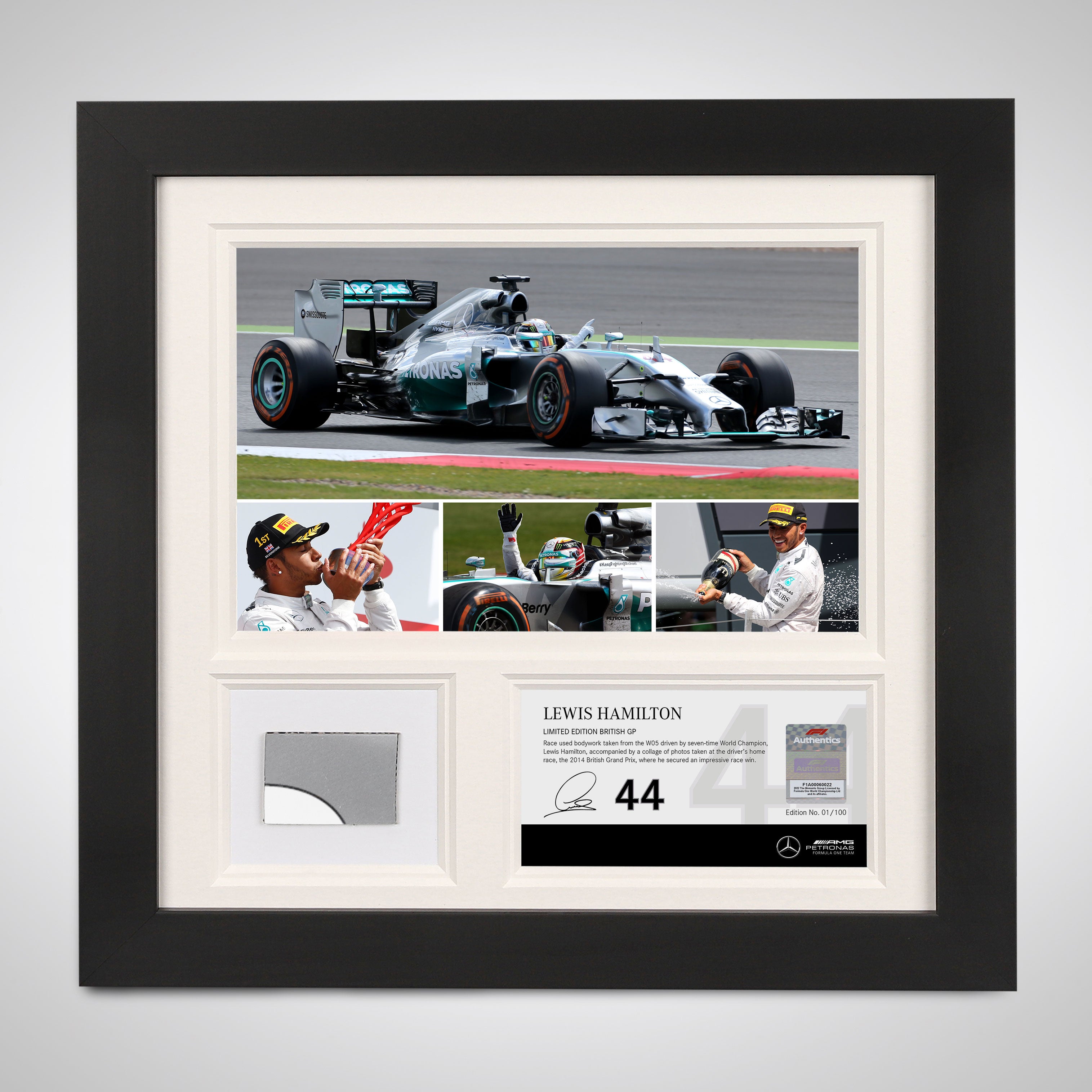 Limited Edition Lewis Hamilton 2014 Bodywork & Photo Collage – British GP