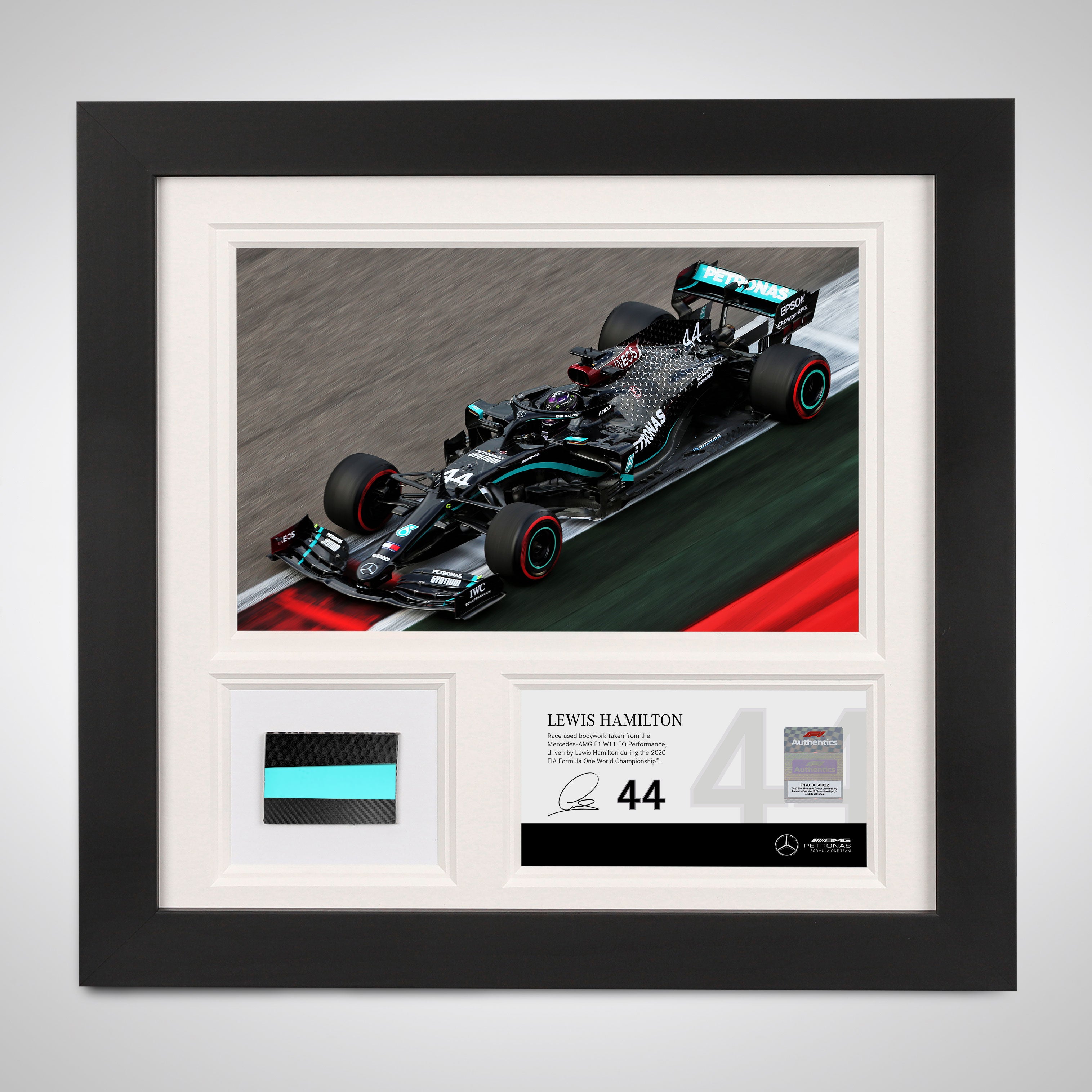 Lewis Hamilton 2020 Bodywork & Photo