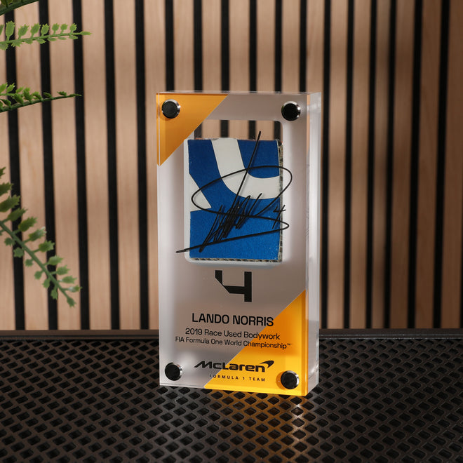 Lando Norris 2019 Bodywork in Acrylic