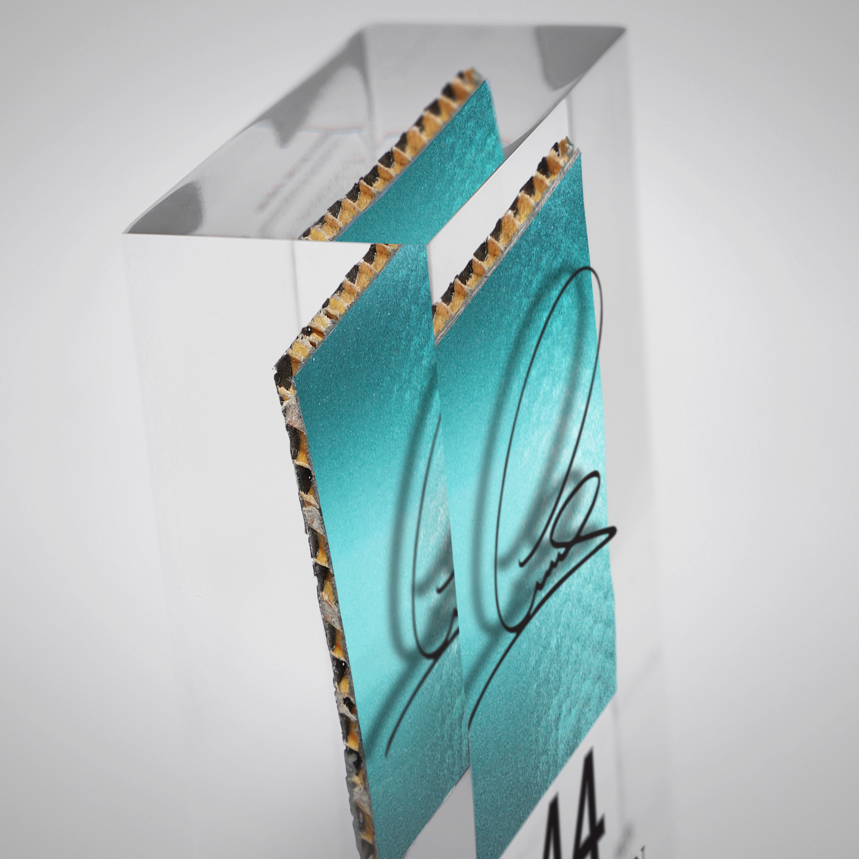 Lewis Hamilton 2014 Bodywork & Acrylic