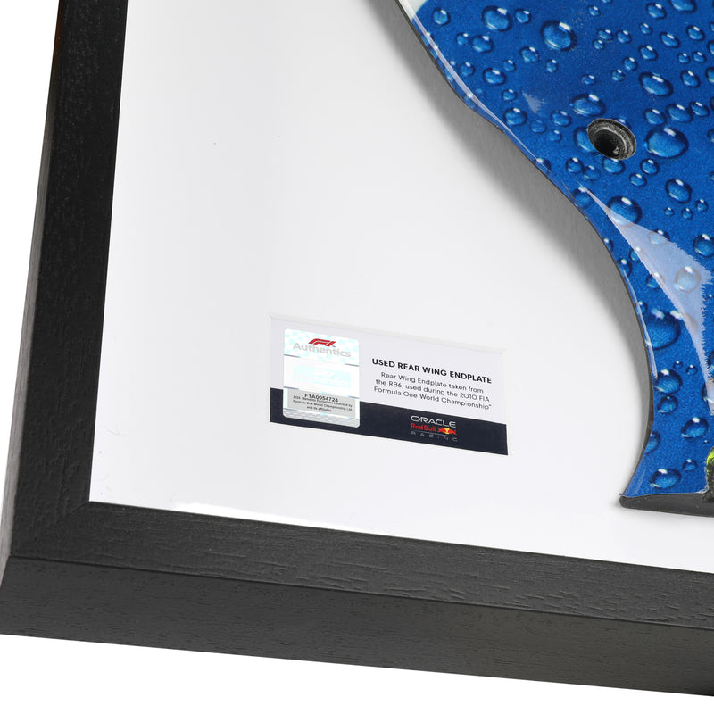 Red Bull Racing 2009 Grand Prix Used RB5 Lefthand Rear Wing Endplate - Red Bull Branding