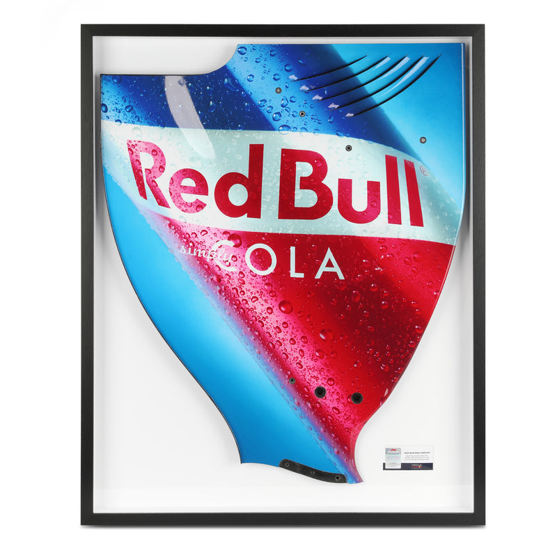 Red Bull Racing 2010 Grand Prix Used RB6 Righthand Rear Wing Endplate - Red Bull Cola Branding