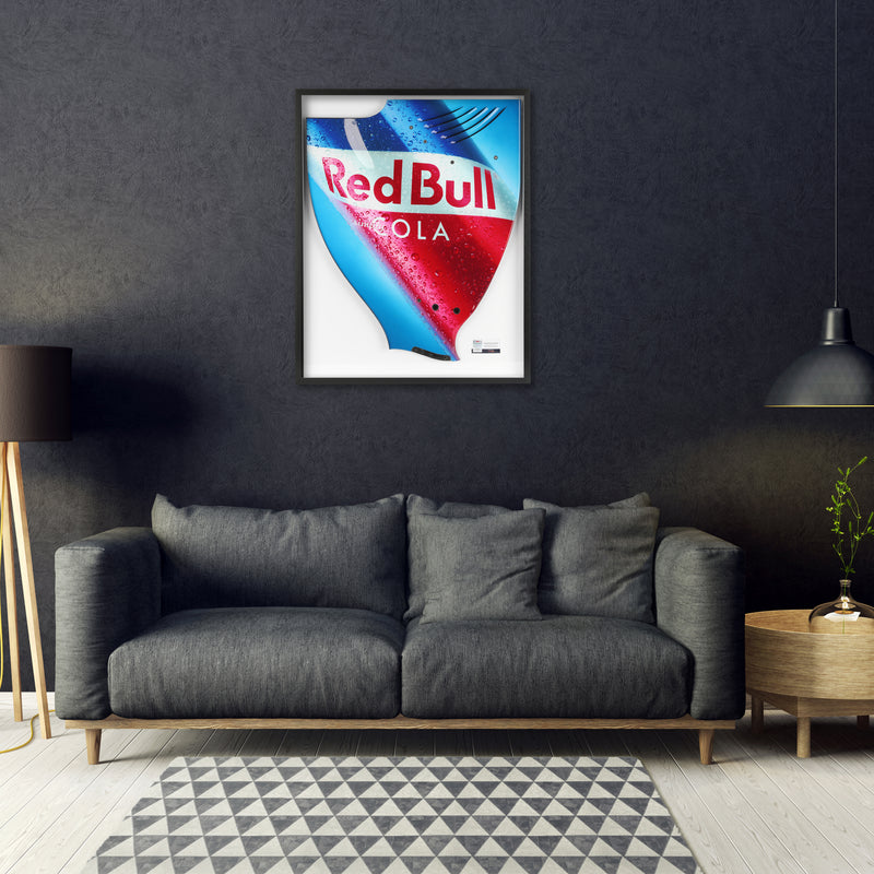 Red Bull Racing 2010 Grand Prix Used RB6 Righthand Rear Wing Endplate - Red Bull Cola Branding