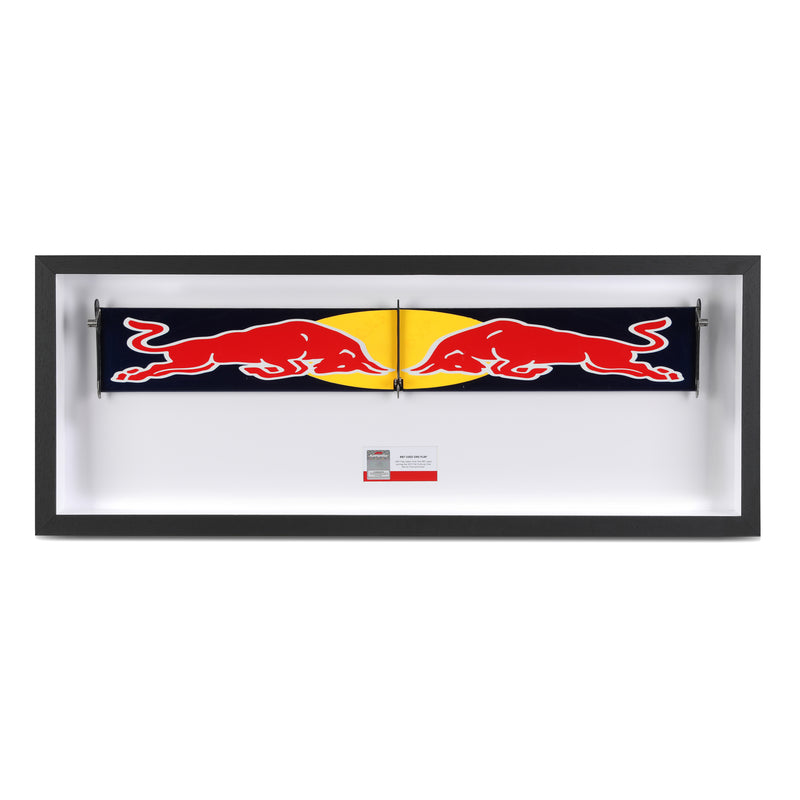 Red Bull Racing 2011 Grand Prix Used RB7 DRS Flap #1