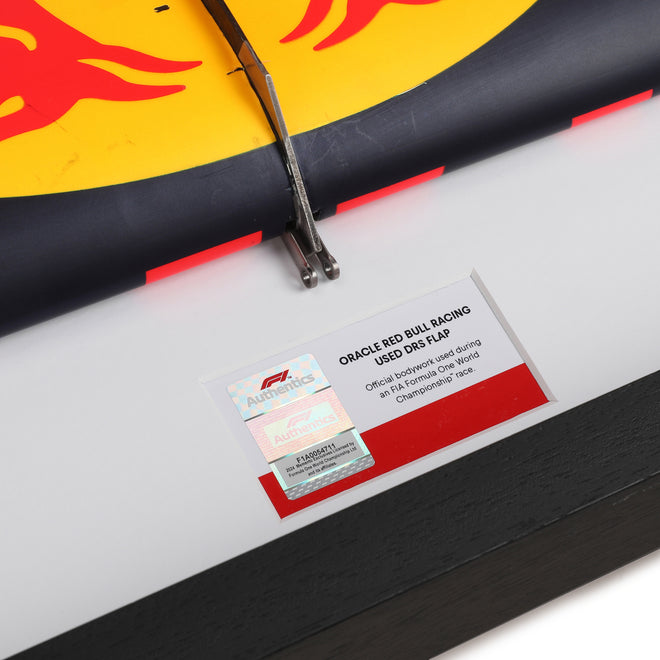 LOT 611 - Red Bull Racing 2015 Grand Prix Used RB11 DRS Flap #2