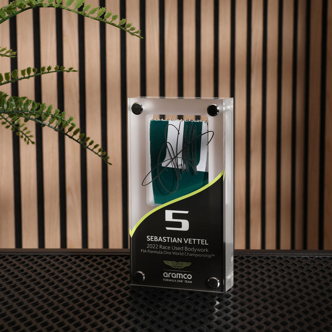 Sebastian Vettel 2022 Bodywork in Acrylic