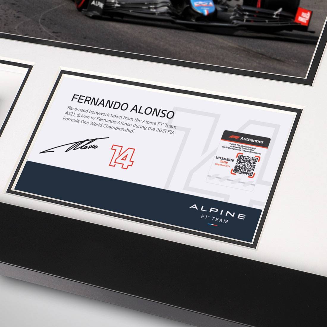 Fernando Alonso 2021 Bodywork & Photo