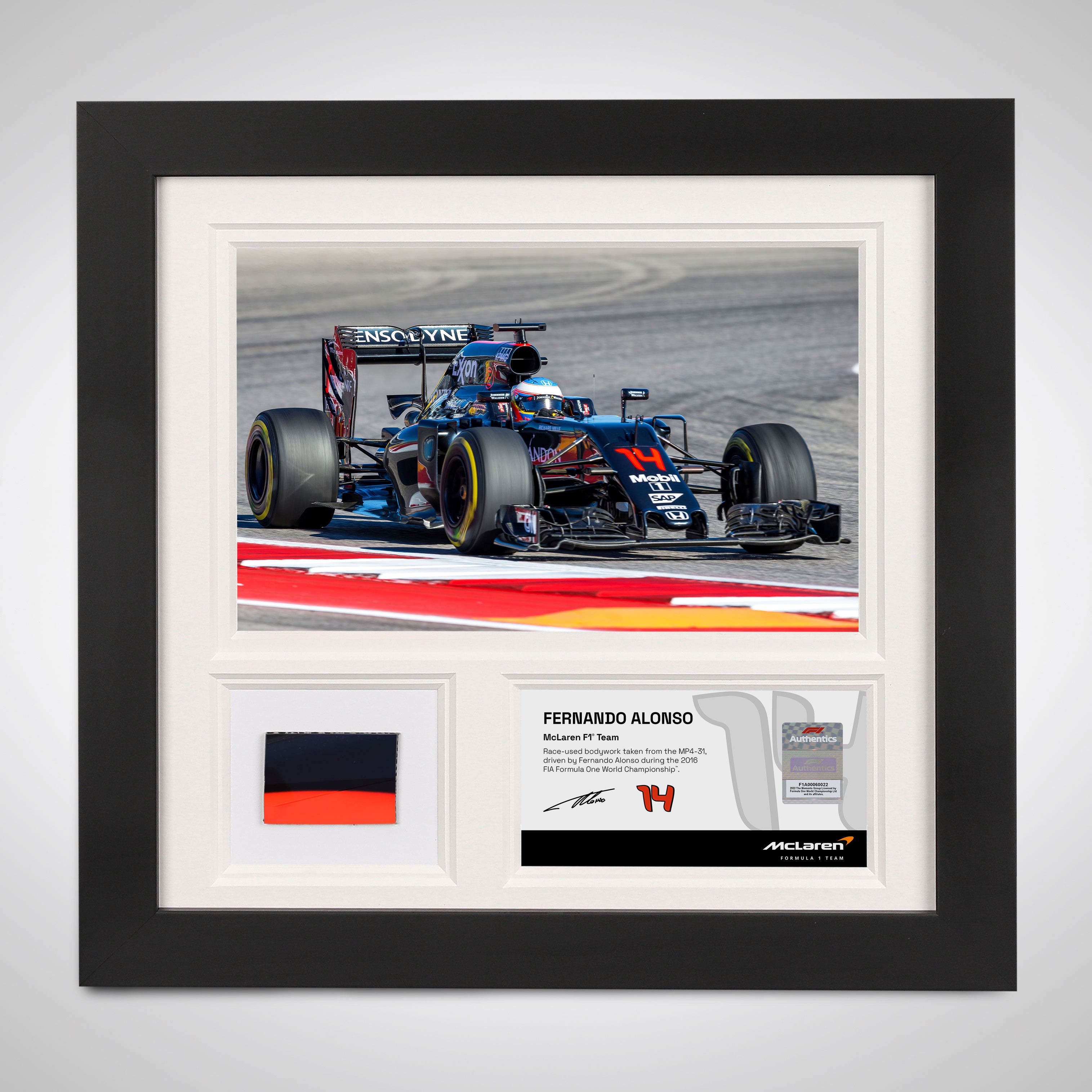 Fernando Alonso 2016 Bodywork & Photo – United States GP