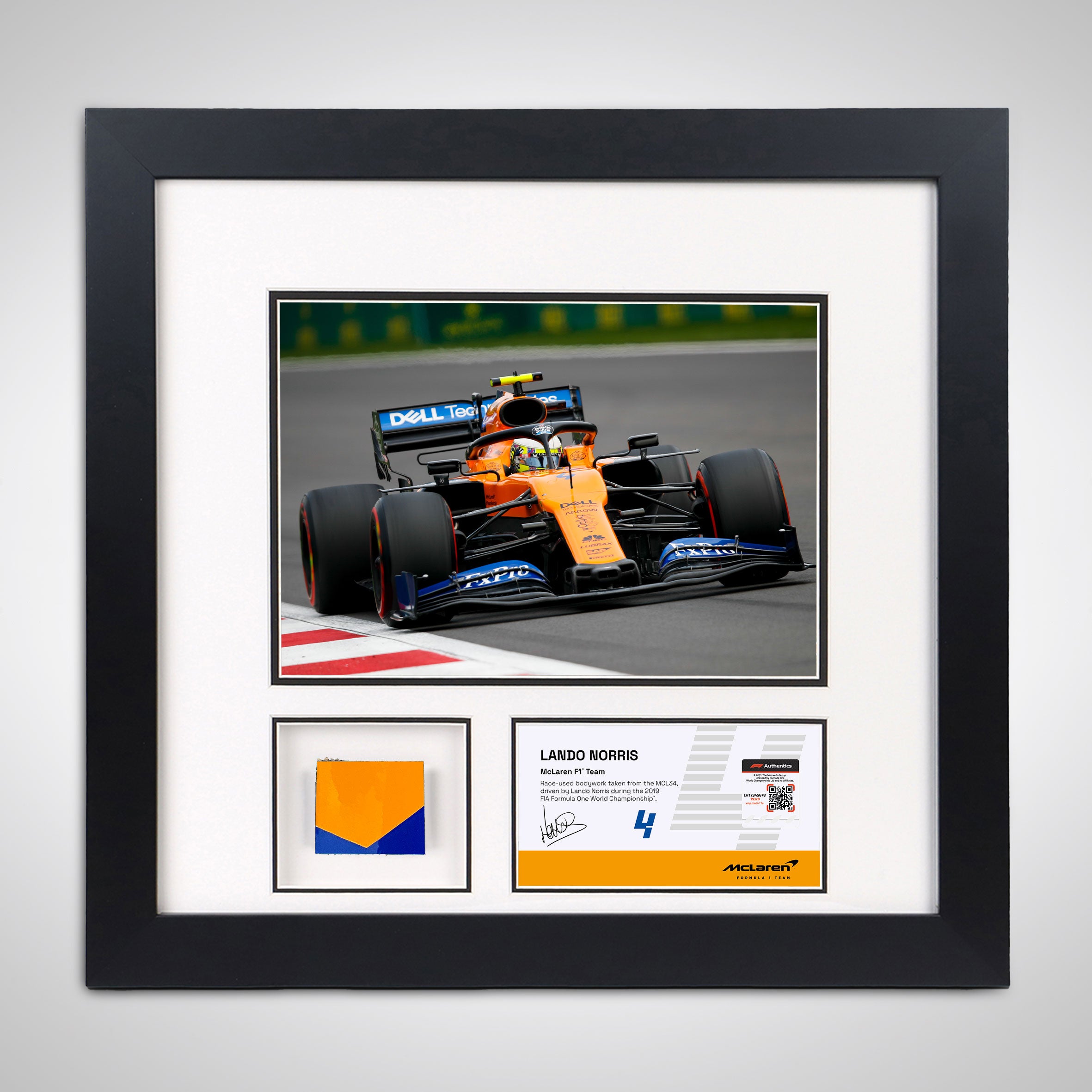 Lando Norris 2019 Bodywork & Photo