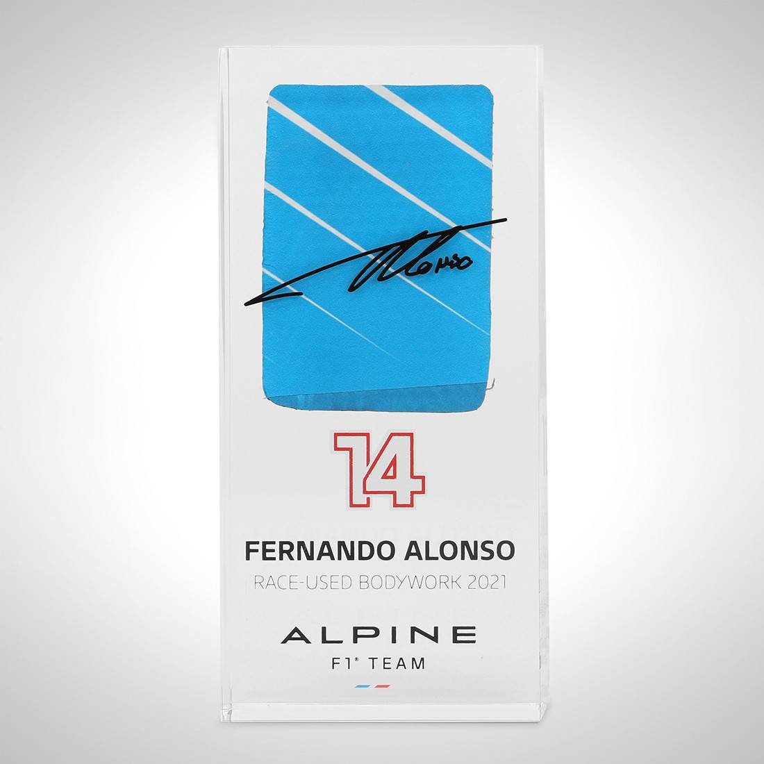 Fernando Alonso 2021 Bodywork In Acrylic